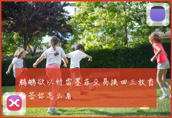 鹈鹕欲以特雷墨菲交易换回三枚首轮签你怎么看